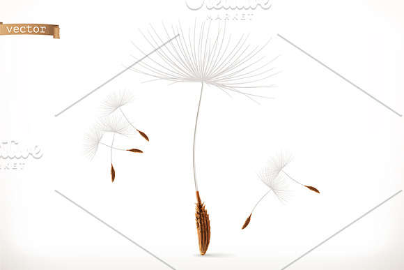 Dandelion flower, seeds, vector icon in Icons - product preview 1