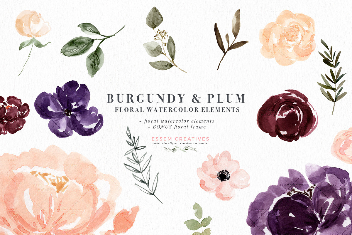 Burgundy Plum Watercolor Flowers in Illustrations - product preview 8