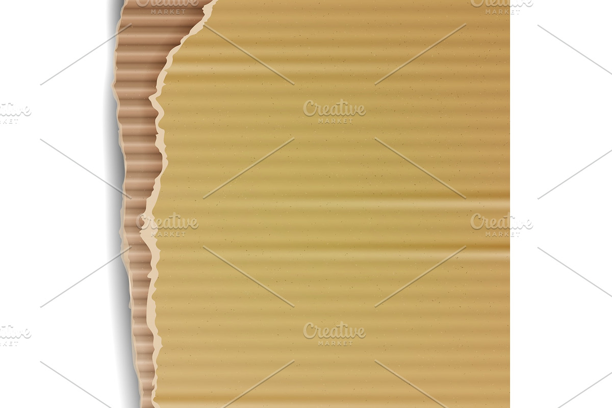 Corrugated Cardboard Vector in Textures - product preview 8