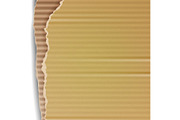Corrugated Cardboard Vector