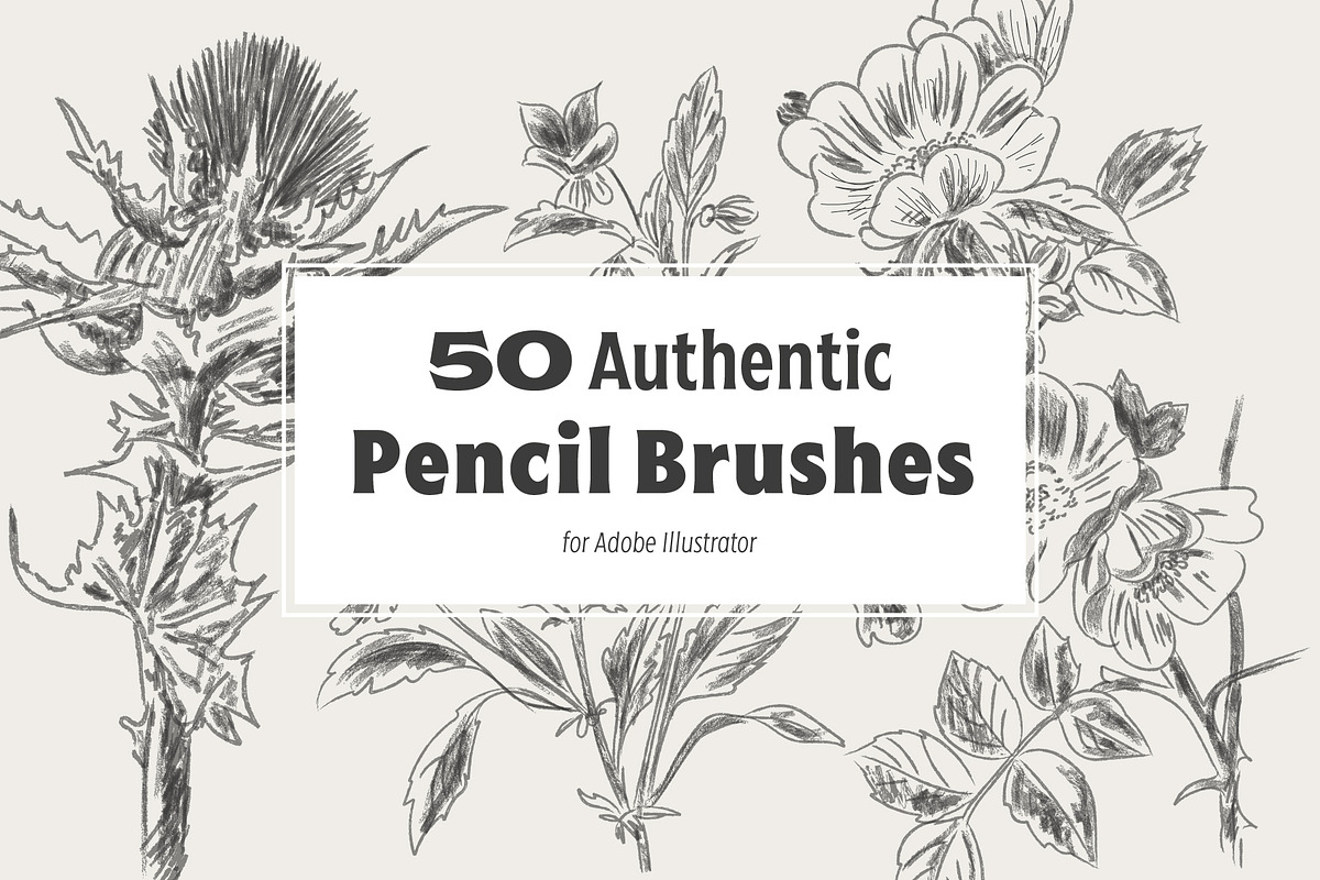50 Authentic Pencil Brushes in Add-Ons - product preview 8
