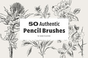 50 Authentic Pencil Brushes