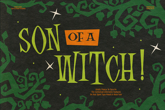 Spooktacular Font Family + Extras in Display Fonts - product preview 3