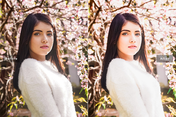 Light & Airy Lightroom Presets in Add-Ons - product preview 5