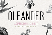Oleander | Sans-Serif + 10 Cutouts