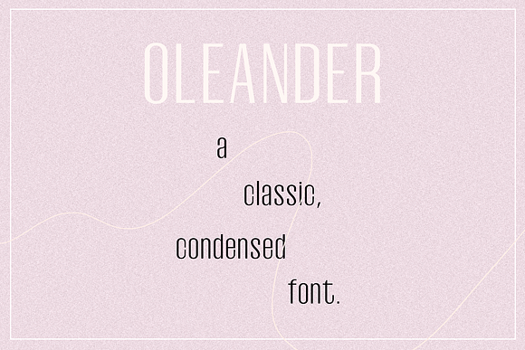 Oleander | Sans-Serif + 10 Cutouts in Sans-Serif Fonts - product preview 1