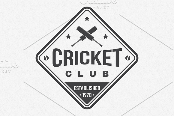 Cricket Club Collection in Logo Templates - product preview 7