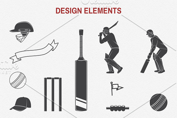 Cricket Club Collection in Logo Templates - product preview 14