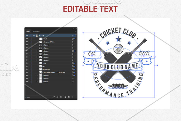 Cricket Club Collection in Logo Templates - product preview 15