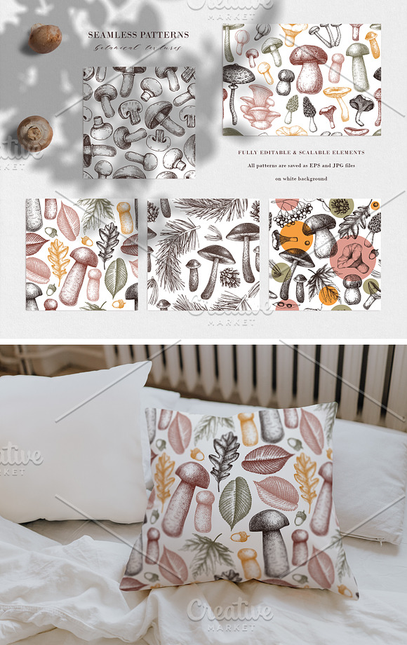 Vector Autumn Set - Forest Plants. in Objects - product preview 5