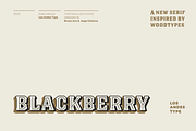 Blackberry - Intro Offer 50% off
