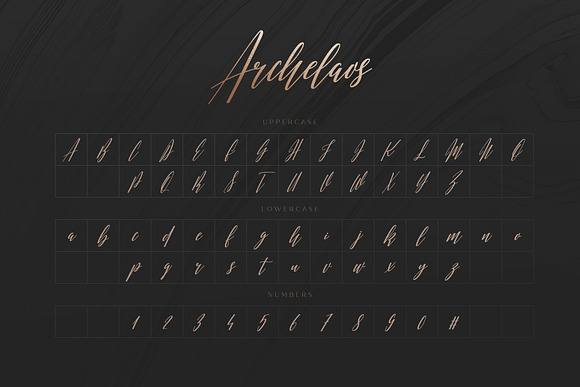 Archelaos - Elegant Script Font in Script Fonts - product preview 3