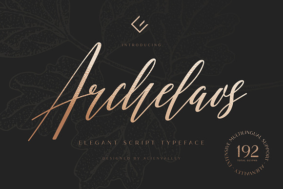 Archelaos - Elegant Script Font in Script Fonts - product preview 5