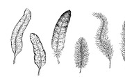 Ink Feathers
