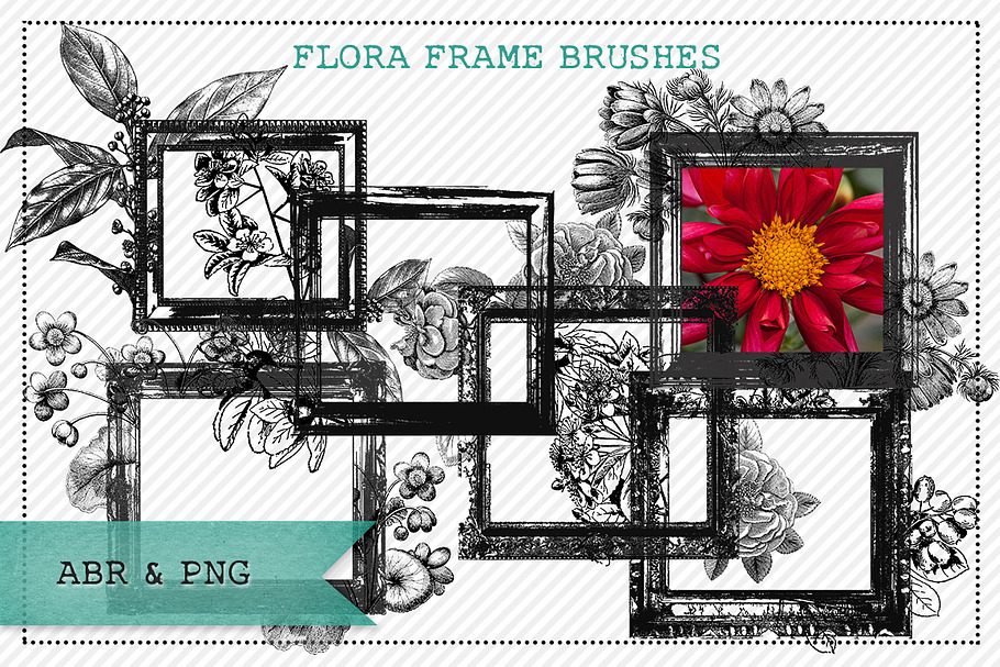 Flora Frame Brushes & Masks in Photoshop Brushes - product preview 8