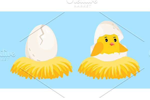 Newborn chick. Cartoon egg and