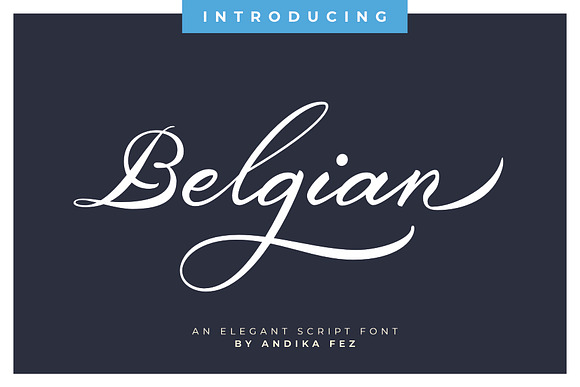 Belgian Signature in Script Fonts - product preview 17