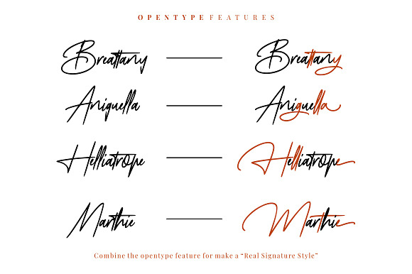 Mayestica - Luxury Signature Font in Script Fonts - product preview 7
