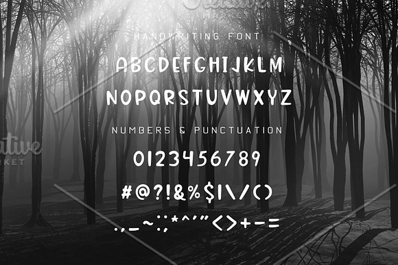 Adventure Font and Camping Pack in Display Fonts - product preview 10