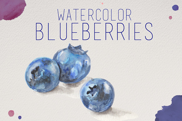 Watercolor Blueberries in Illustrations - product preview 1