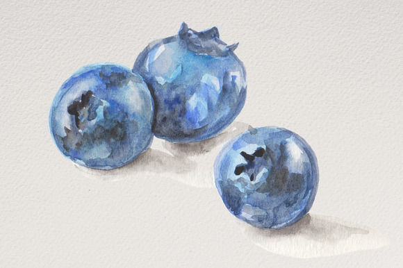 Watercolor Blueberries in Illustrations - product preview 2