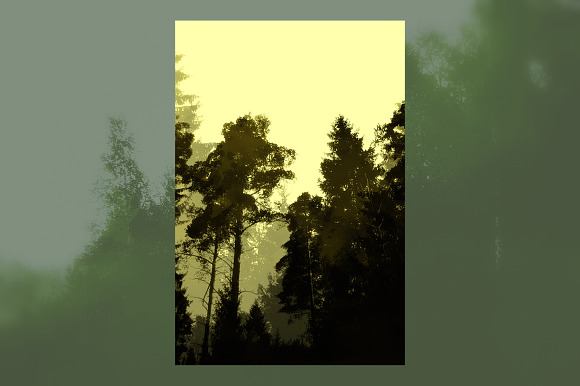 forest silhouette set | JPEG in Objects - product preview 3