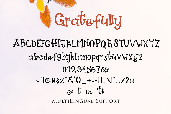Gratefully - Slab Serif Font in Slab Serif Fonts - product preview 5
