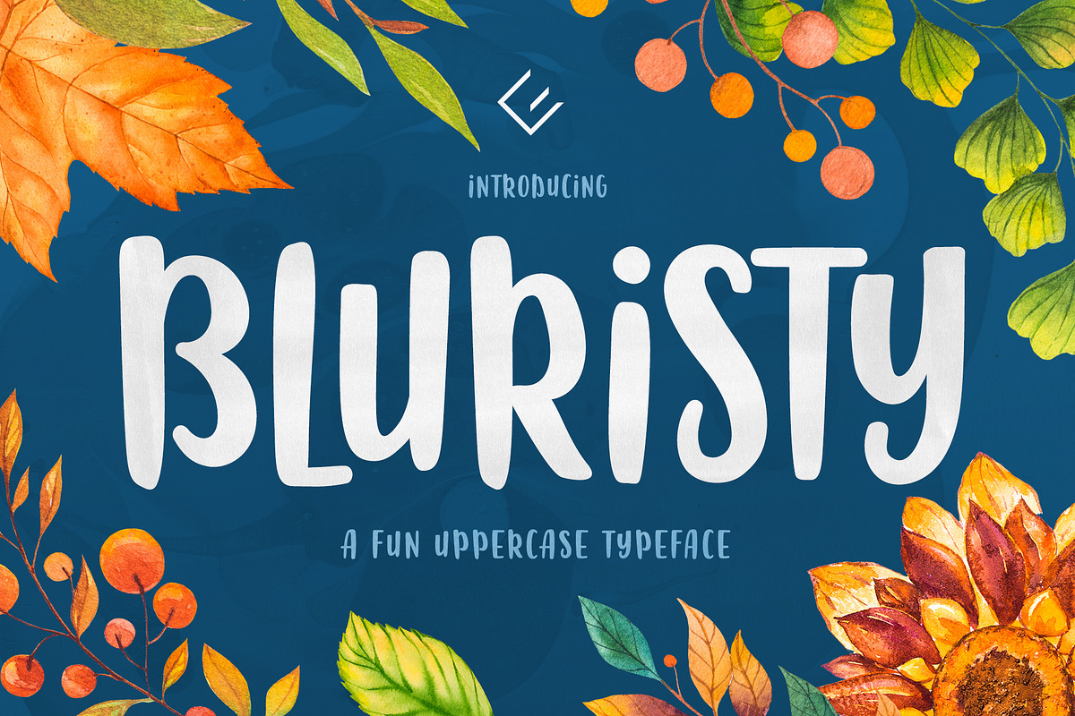 Bluristy - Fun Brush Font in Display Fonts - product preview 8