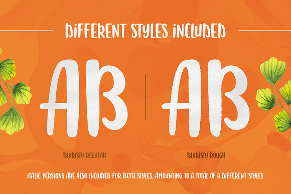 Bluristy - Fun Brush Font in Display Fonts - product preview 2