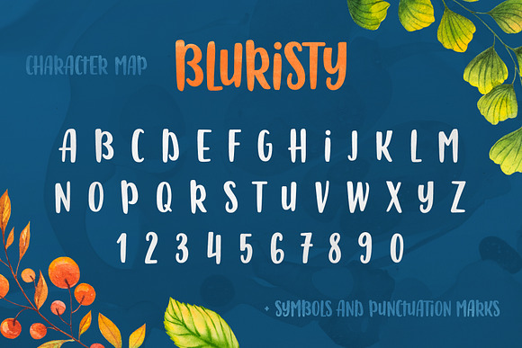 Bluristy - Fun Brush Font in Display Fonts - product preview 4