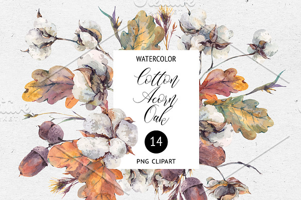 Fall Clipart, Watercolor Cotton, Oak