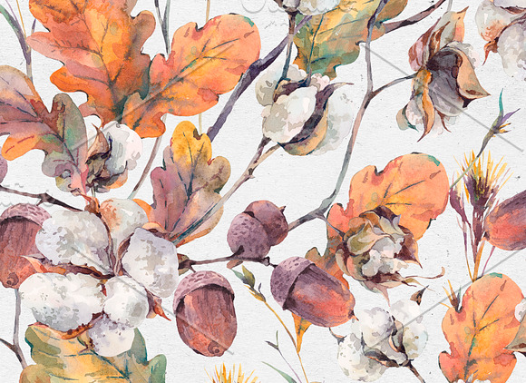 Fall Clipart, Watercolor Cotton, Oak in Illustrations - product preview 4