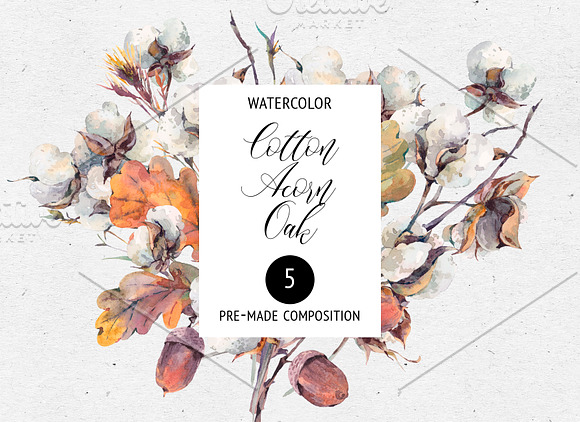 Fall Clipart, Watercolor Cotton, Oak in Illustrations - product preview 8