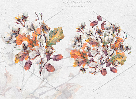 Fall Clipart, Watercolor Cotton, Oak in Illustrations - product preview 9