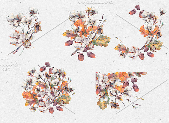 Fall Clipart, Watercolor Cotton, Oak in Illustrations - product preview 11