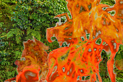 Nature Burning Concept Background