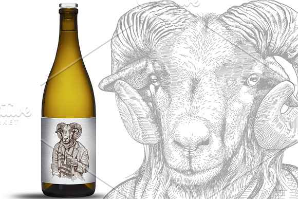 Ram Sketch Wine Label in Logo Templates - product preview 5