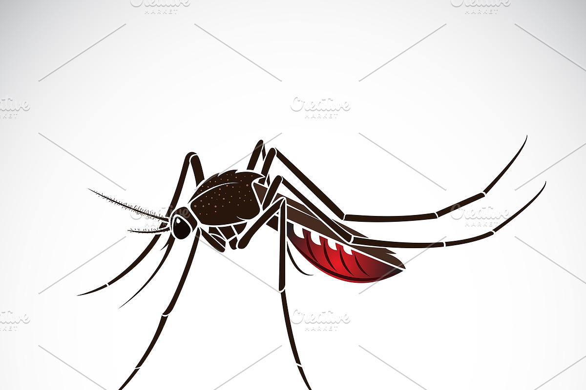 Vector of a mosquito design. Insect in Icons - product preview 8