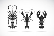 Group of lobster design. Sea Animal.