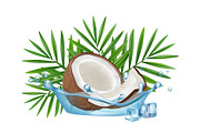 Realistic coconut in water splash