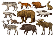 Set of Wild animals. Brown