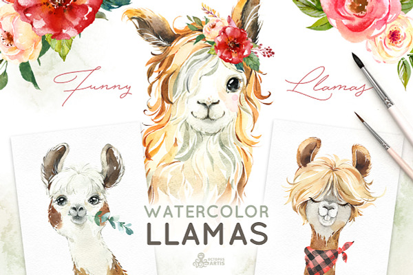 Llamas. Funny Watercolor Animals