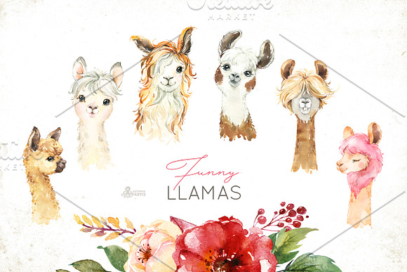 Llamas. Funny Watercolor Animals in Illustrations - product preview 1