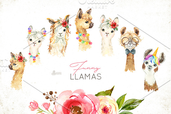 Llamas. Funny Watercolor Animals in Illustrations - product preview 2