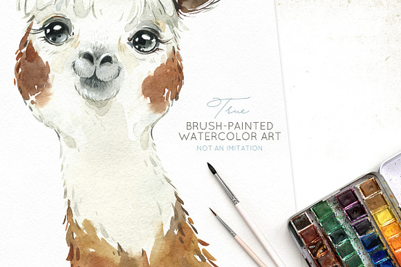 Llamas. Funny Watercolor Animals in Illustrations - product preview 5