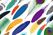 Feathers seamless background