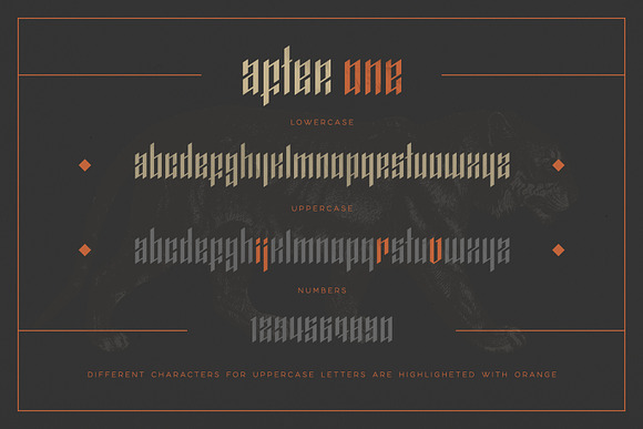 AfterOne - Blackletter Inspired Font in Blackletter Fonts - product preview 4