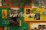 ✨ Sunflower - Google Slide