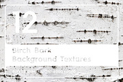 12 Birch Bark Background Textures