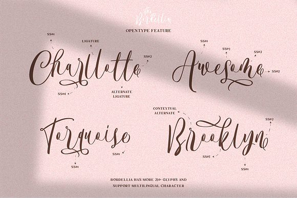 The Bordellia Font Duo in Display Fonts - product preview 6